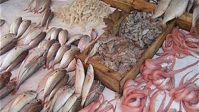 سمك بلطي يسجل 12.5 جنيها بسوق العبور..اليوم