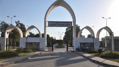 افتتاح المركز الجامعي للتطوير المهني بجامعة المنيا