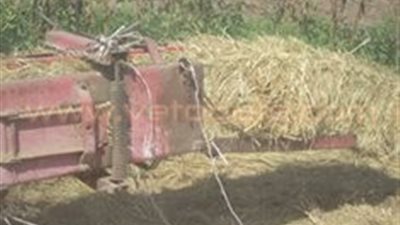 بالصور..تحرير 5 محاضر لحرق قش الأرز بـ«أبو حماد» في الشرقية