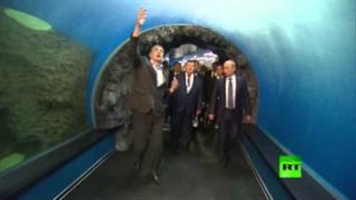 بالفيديو.. أكبر حوض سمك في العالم