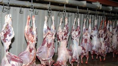 شعبة القصابين تتوقع ارتفاع الطلب على اللحوم الفترة المقبلة