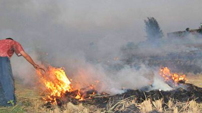 البيئة تنظم حملات تفتيشية وندوات توعية بـ الشرقية وطنطا.. تدوير المخلفات ومخاطر حرق قش الأرز والثروة السمكية أبرز ما دار بالندوات.. تجديد التراخيص للمنشأة القائمة بالعاشر من رمضان