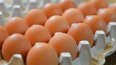 «الزراعة» تكشف حقيقة انتشار البيض البلاستيك بالأسواق