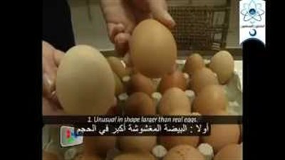 «أكل بلاستيك».. بلاغ للنيابة في الإسكندرية يحذر من «البيض البلاستيك».. «الأرز المضروب» يثير الذعر بين المواطنين.. و«الشعرية» ضمن القائمة.. «شلتوت»: جم