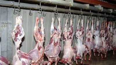 خطة لتطوير 15 مجزرا بالجيزة بتكلفة 15 مليون جنيه