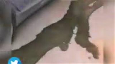 انفجار شاحن هاتف يتسبب في إحراق مقعد سيارة (فيديو)