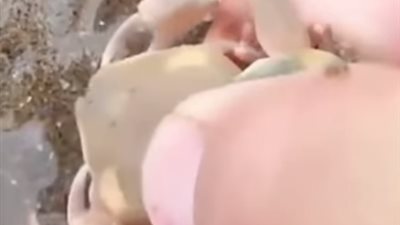 كابوريا ترفض التخلى عن احتضان أخرى (فيديو)