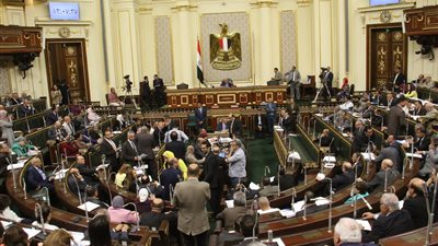 عبد العال: من حق الحكومة تقديم مشروعات قوانين قبل منحها الثقة