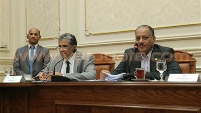 لجنة الطاقة والبيئة بالبرلمان تناقش قضية الحوت وأسماك القرش