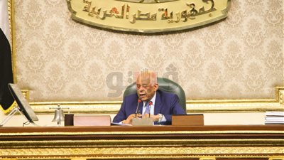 عبد العال: قانون التعاقدات العامة ليس مكانا لتثبيت مواقف سياسية