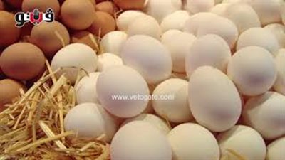 «الزراعة» ترد على شائعة البيض البلاستيك: لدينا اكتفاء ذاتي (صوت)