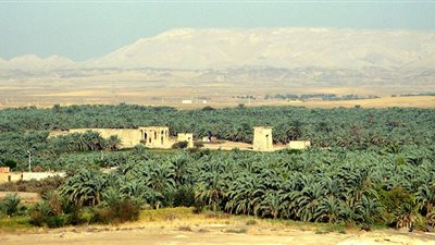 غدًا.. الشمس تتعامد على معبد هيبس بالوادى الجديد