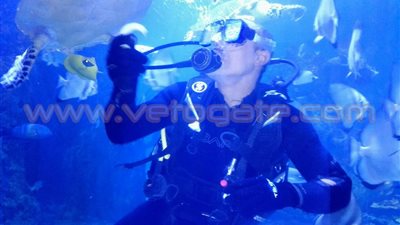 بالصور.. «الإكواريوم» متحف يضم آلاف الكائنات البحرية بالبحر الأحمر