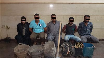 ضبط تشكيل عصابي يقوده أمين شرطة للتنقيب عن الآثار بالغربية (صور)