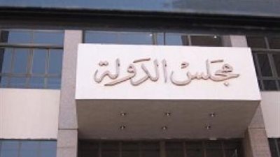 «الإداري» تقضي برفض دعوى حل اتحاد المهن الطبية