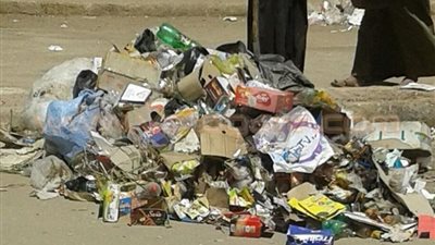 بالصور.. رفع 200 طن مخلفات من مقالب القمامة العشوائية بشوارع دشنا