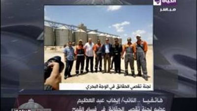 برلمانى عن فساد القمح: «بنجاهد علشان لقمة العيش وناس تربح ملايين»