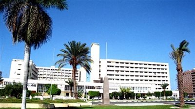 «الصياد» خلفًا لـ «هيكل» بجمارك بورسعيد