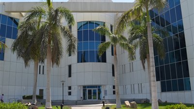 «باليتى»: «موبينيل» و«تيلكوم إيطاليا» أبرز عملاء «أي تي سينريجي»