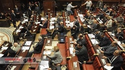 نيويورك تايمز: الاستفتاء على «دستور مصر» خطوة مهمة نحو الديمقراطية