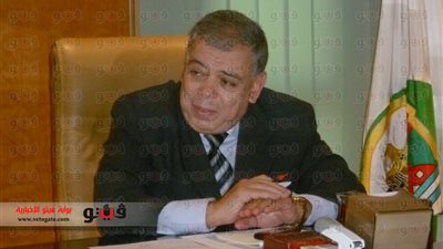 محافظ الفيوم يشهد حفل زفاف جماعى للأيتام