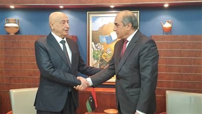 برلمان قبرص يعلن دعمه لسحب الاعتراف الدولي من حكومة الوفاق