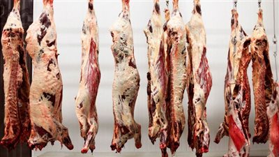 برلماني يطالب بتغليظ عقوبة ذبح الماشية خارج المجازر