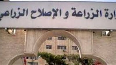 «الري» تتسلم كشوفا بأسماء المخالفين لقرار «حظر زراعة الأرز»