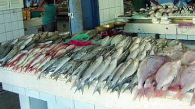 «البلطى» يسجل 12.75 جنيها بسوق الجملة