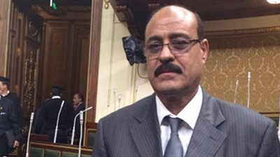 نائب يطالب الحكومة بـ«بيع أراضي الدولة» لتمويل المعاشات