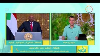 «دبلوماسي»: يجب أن تعود منطقة دول حوض النيل للاستقرار (فيديو)