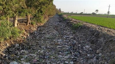 خبير جيولوجي: مصر تعاني من نقص حاد في المياه ولابد من تدخل الدولة