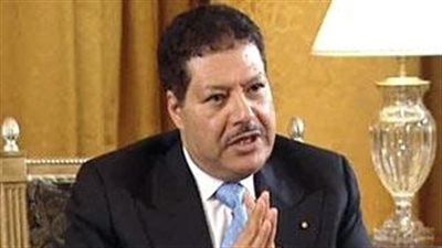 بالفيديو..«زويل»: طالبت «مبارك» بالتنازل عن الحكم.. وانحزت لثورتي يناير ويونيو