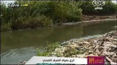 بالفيديو.. مذيعة «cbc»: «يالهوي ياما.. بيزرعوا الخضار بمية الصرف الصحي»