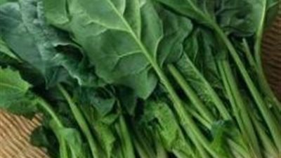 السبانخ والبيض لنشاط طفلك في الدراسة