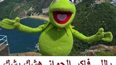 ساخرون.. اللي فاكر الزواج هشك بشك