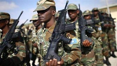 مقتل 9 إرهابيين في هجوم لـ