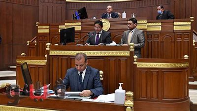 مجلس الشيوخ يناقش تعديلات قانون ذوي الإعاقة اليوم.. تعرف على التفاصيل