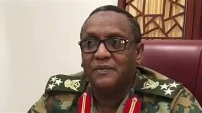 العميد دكتور الطاهر أبو هاجة يكتب: مصر والسودان في خندق واحد