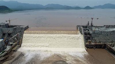 رئيس الكونغو: نسعى لإيجاد حل نهائي في قضية سد النهضة