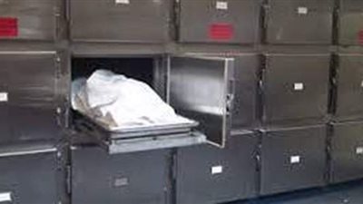 مصرع طفل صدمته سيارة مسرعة أعلى الطريق الدائري الأوسطي