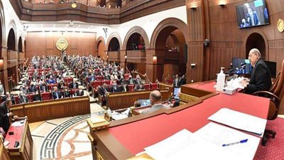 مجلس الشيوخ يرفع عقوبة التنمر ضد الأشخاص ذوي الإعاقة لـ3 سنوات