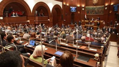 مجلس الشيوخ: لصندوق الوقف الخيري موازنة مستقلة