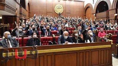 مجلس الشيوخ يقر ضوابط إدارة أموال صندوق الوقف الخيري