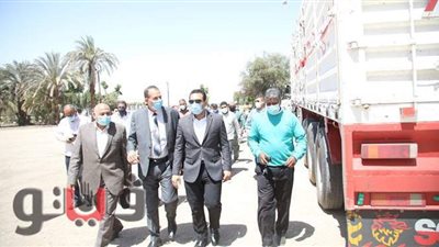 بدء استلام محصول القمح مبكراً في قنا بسبب الظروف الجوية