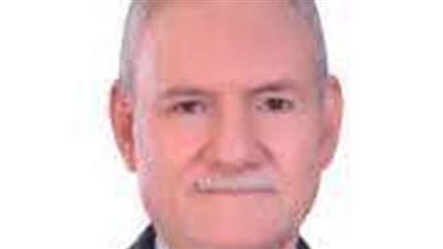 برلماني: المدن الصناعية المتخصصة تساهم في تنمية التصنيع المحلي