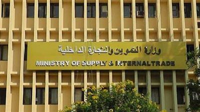 التموين: 8 خدمات جديدة لتحديث البطاقات عبر موقع دعم مصر