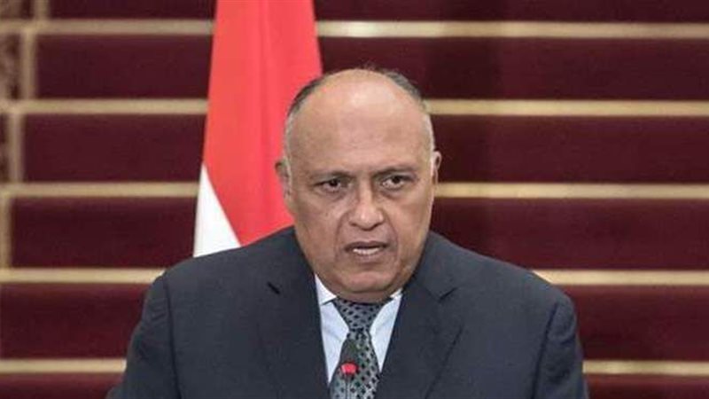 سامح شكرى وزير الخارجية