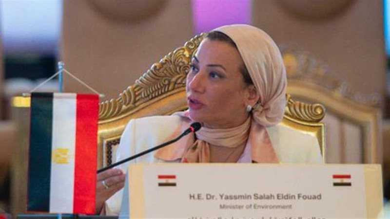 الدكتورة ياسمين فؤاد