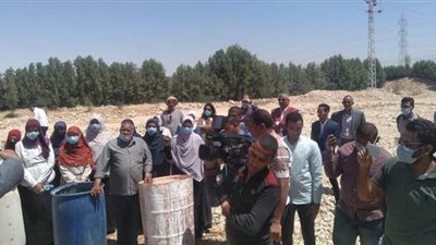 جامعة جنوب الوادي تهدي دير مارجرجس أشجار زيتون